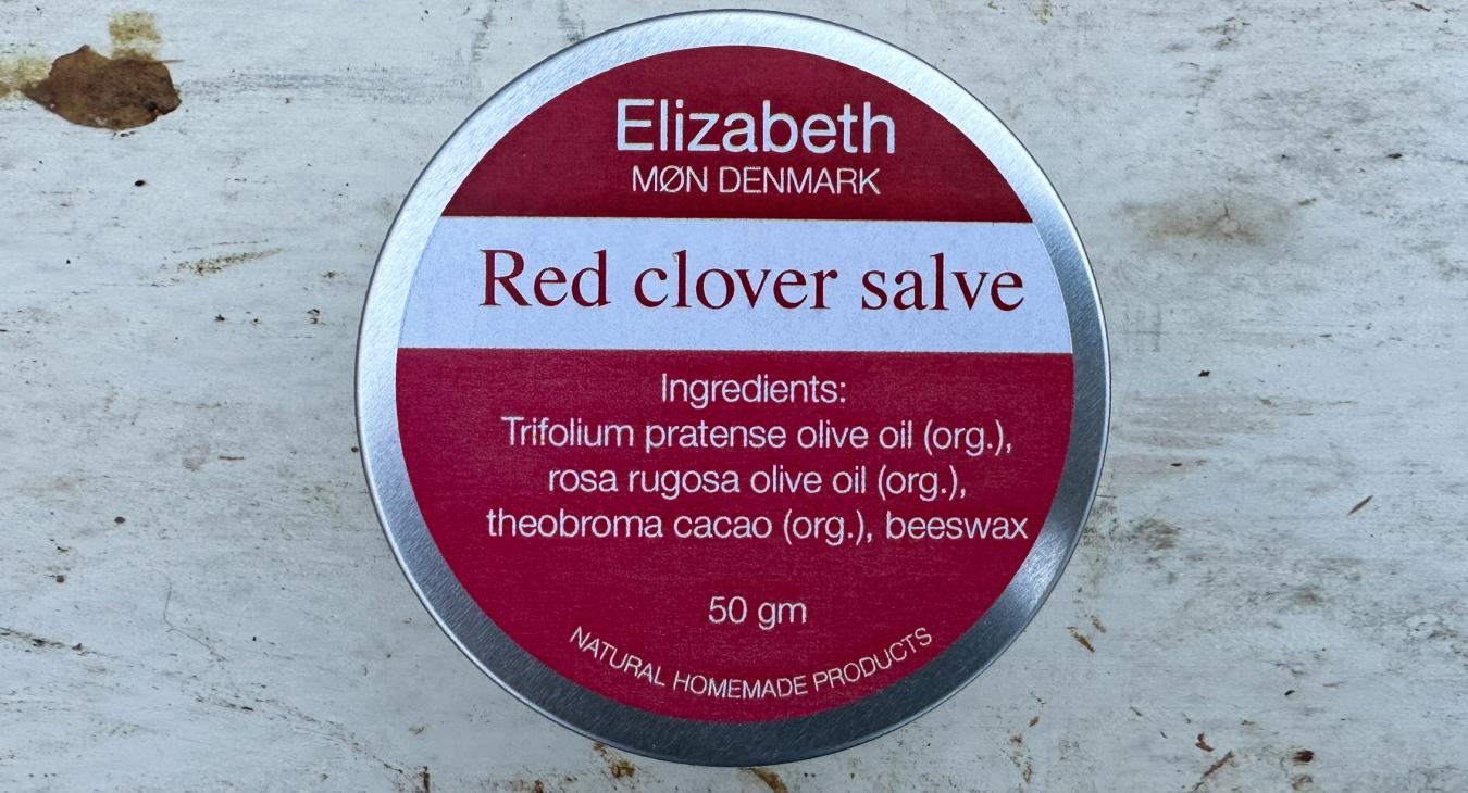 Red clover